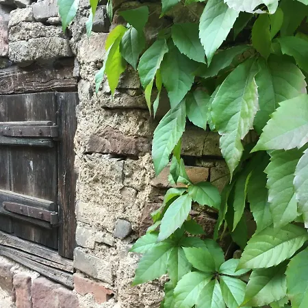 Maison Spacieuse Et Cosy A La Campagne Proche De Strasbourg Et De L'aeroport Achenheim