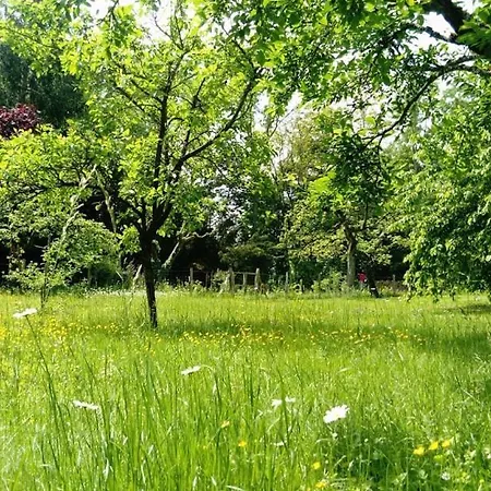 Maison Spacieuse Et Cosy A La Campagne Proche De Strasbourg Et De L'aeroport Prázdninový dům