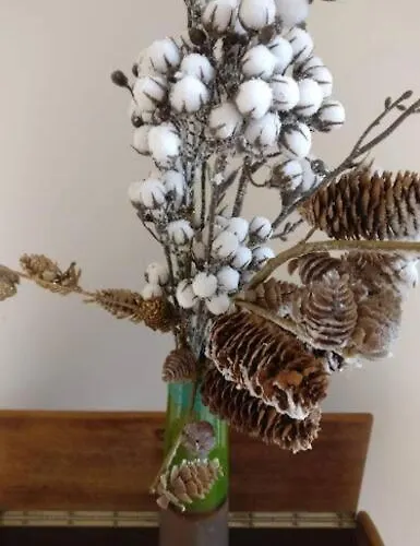 Spacieux Et Cosy A La Campagne Proche De Strasbourg