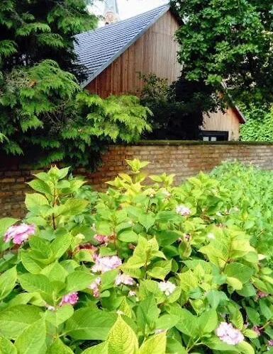 Vakantiehuis Spacieux Et Cosy A La Campagne Proche De Strasbourg