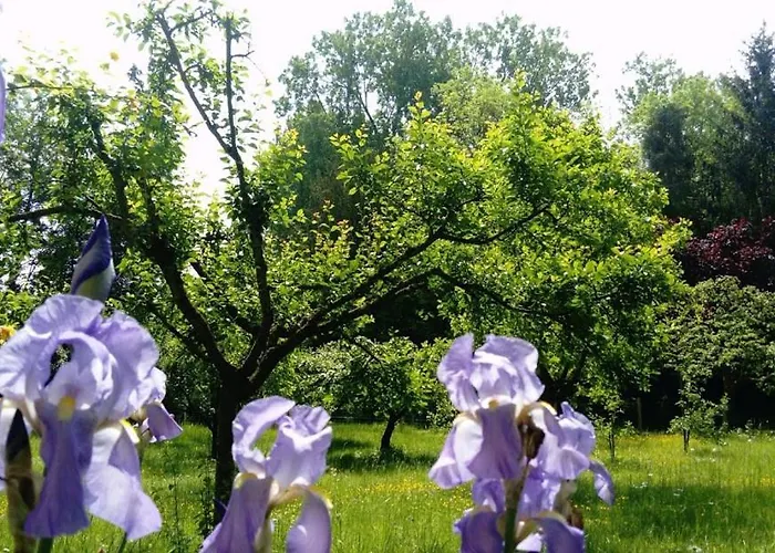 Spacieux Et Cosy A La Campagne Proche De Strasbourg