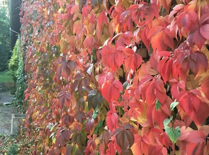 Spacieux Et Cosy A La Campagne Proche De Strasbourg Vakantiehuis *