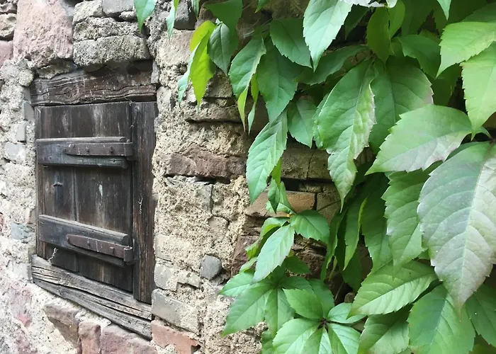 Spacieux Et Cosy A La Campagne Proche De Strasbourg Achenheim