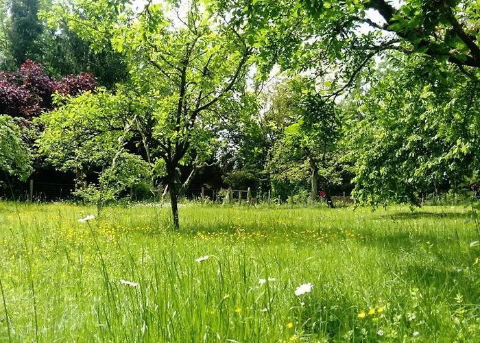 Spacieux Et Cosy A La Campagne Proche De Strasbourg Vakantiehuis