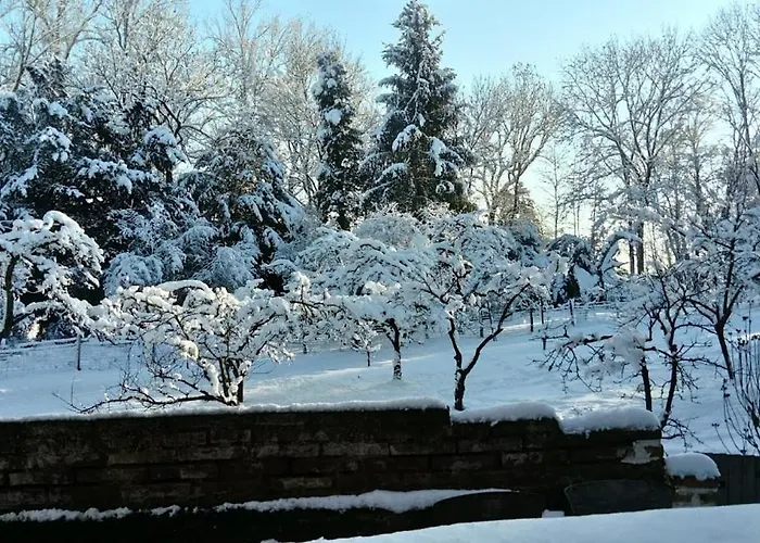 Vakantiehuis Spacieux Et Cosy A La Campagne Proche De Strasbourg Achenheim