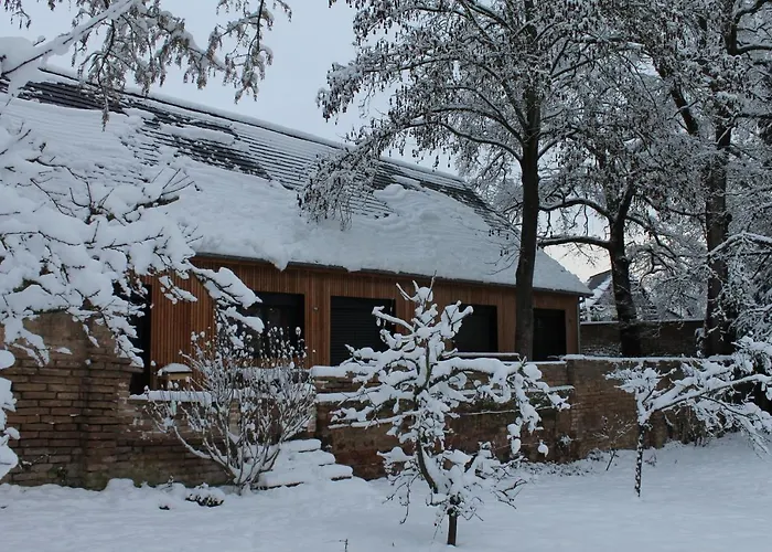 Spacieux Et Cosy A La Campagne Proche De Strasbourg Achenheim